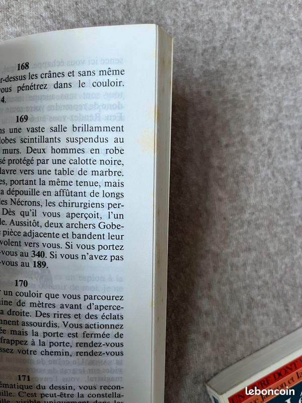 Livre dont vous êtes le héros: Retour à la Montagne de Feu (image 9)