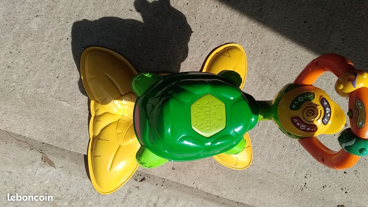 Tortue rebondissante (image 2)