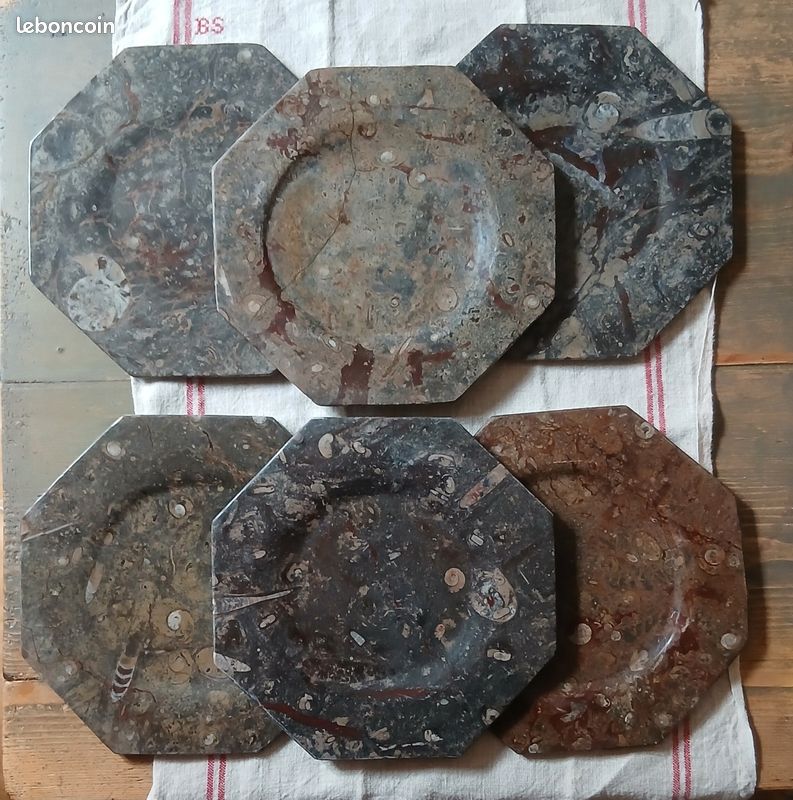 Assiette fossile (image 1)