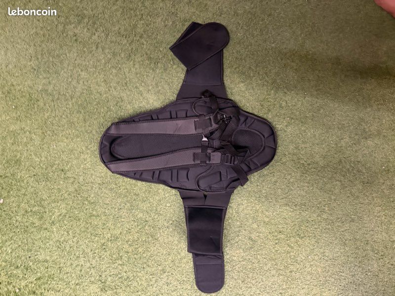 Dorsale moto dainese (image 2)