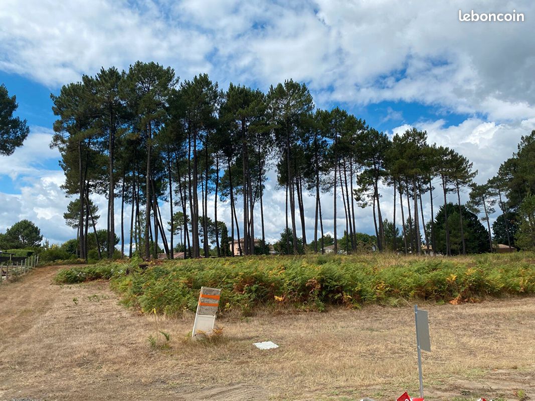 Terrain 1125 m² · à Rion-des-Landes · 1 125 m² · 55 000 €