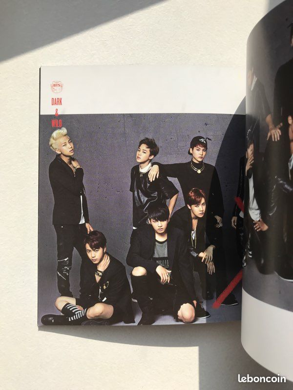 Album dark and wild de BTS (image 10)
