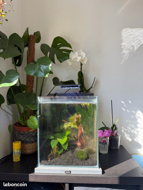 Aquarium complet équipé – prêt à l’emploi (Marseille) (image 2)