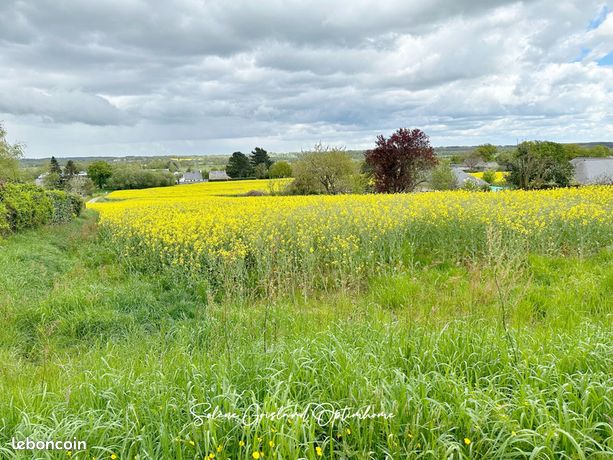 Terrain 701 m² Rieux