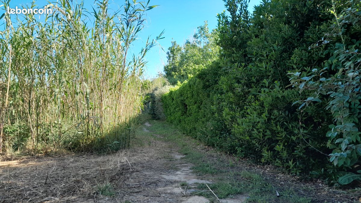 Bungalow d'été à VIAS Plage – Accès direct mer - HERAULT (image 12)