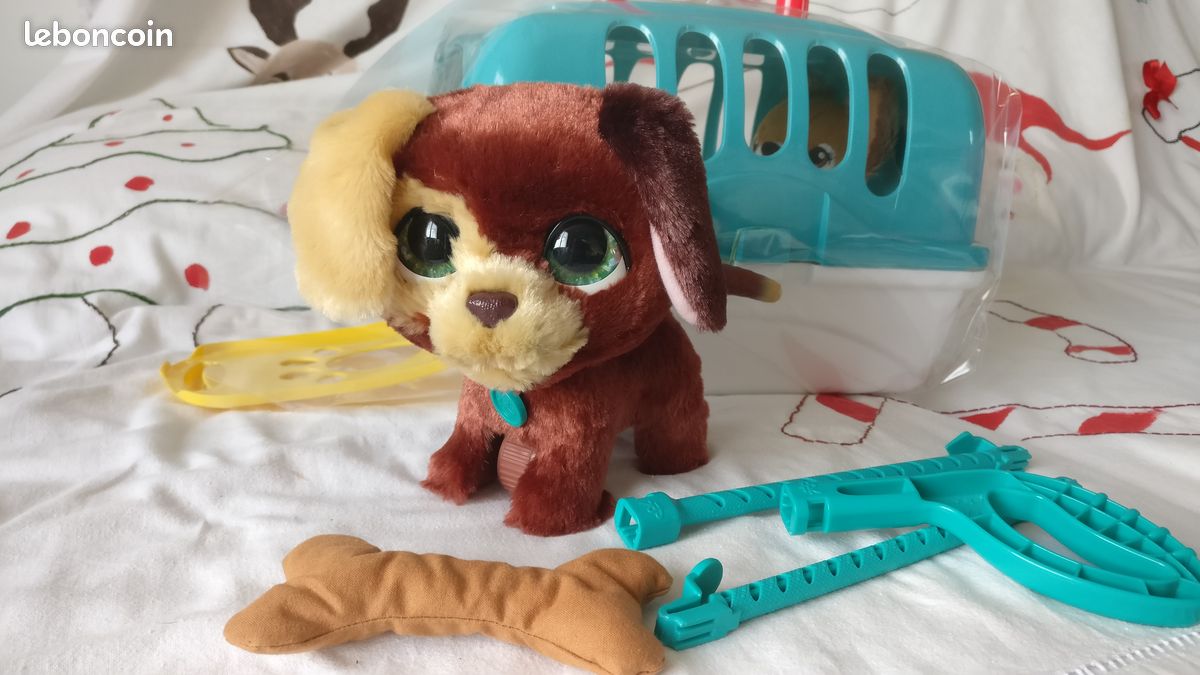 Chien interactif (image 2)