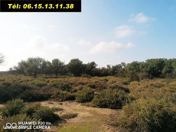 Terrain Torreilles 29000m2