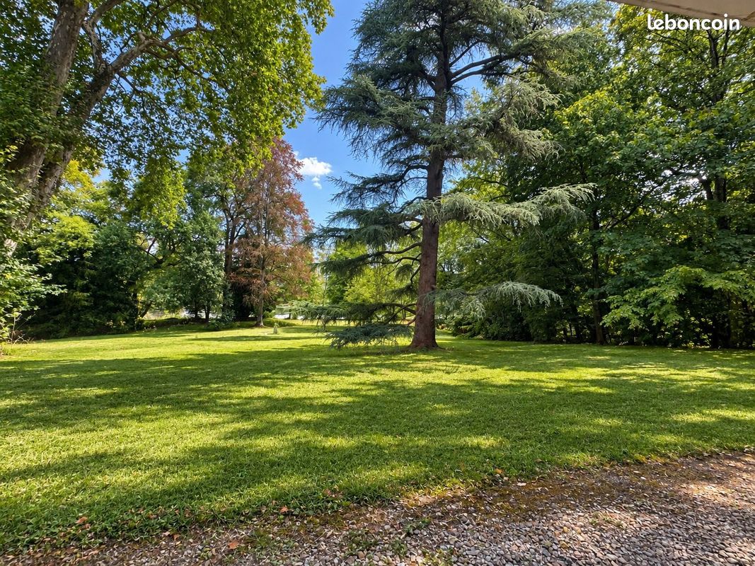 Appartement 1 pièce 20 m² · à Olivet · 20 m² · 550 €/mois
