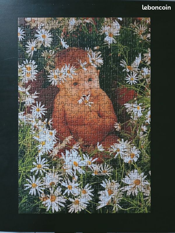Puzzle Anne Geddes (image 3)