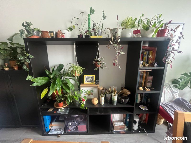 Meuble Tv / bibliotheque (image 2)