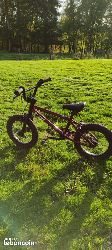 Bmx Blank 14 pouces (image 1)