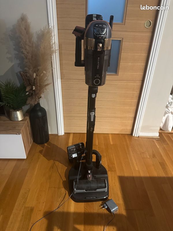 Rowenta x-force flex 15.60 sans fil multifonctions (image 1)