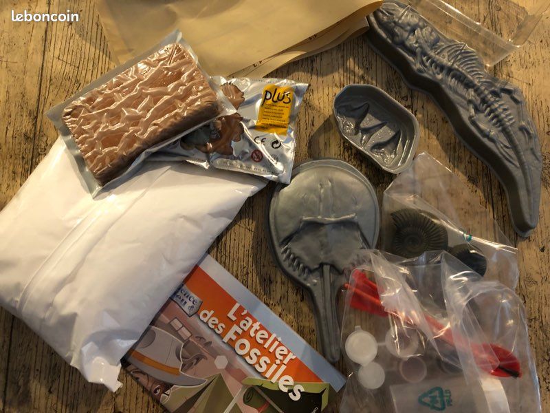 Jeu Atelier des fossiles (image 2)