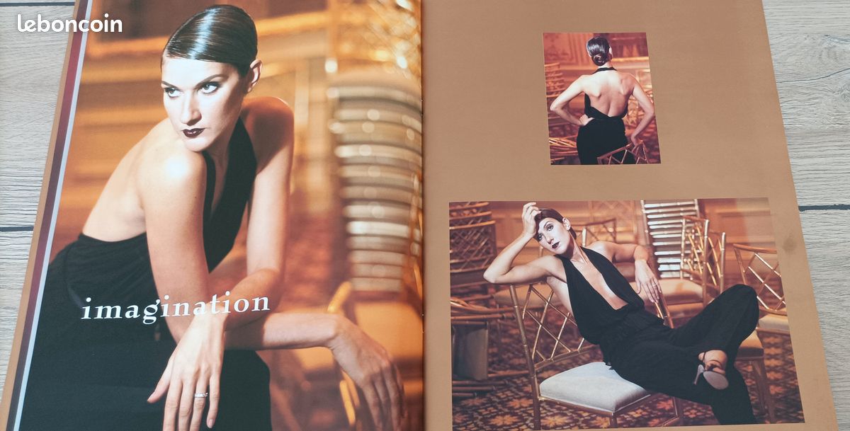 1 tee shirt officiel neuf + 1 livre photo officiel neuf de Céline Dion (image 2)
