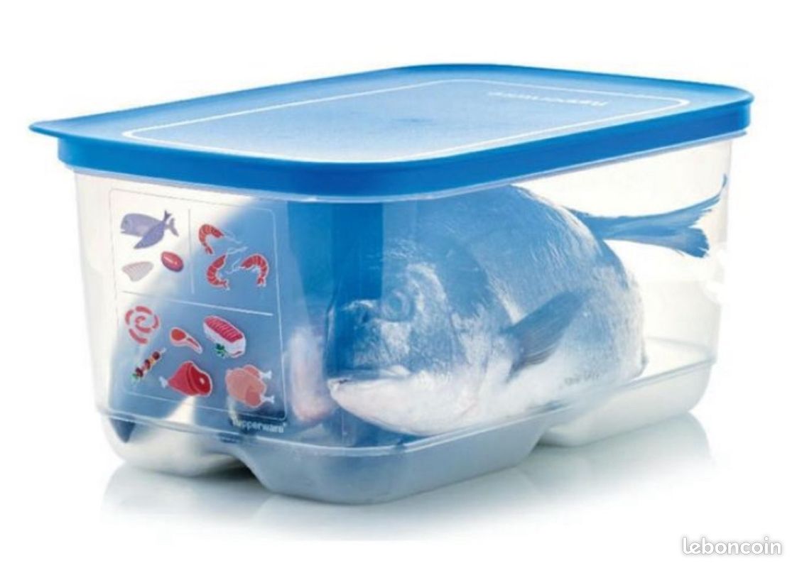 Boîte BoitOfrais 4,4 l - TUPPERWARE (image 2)