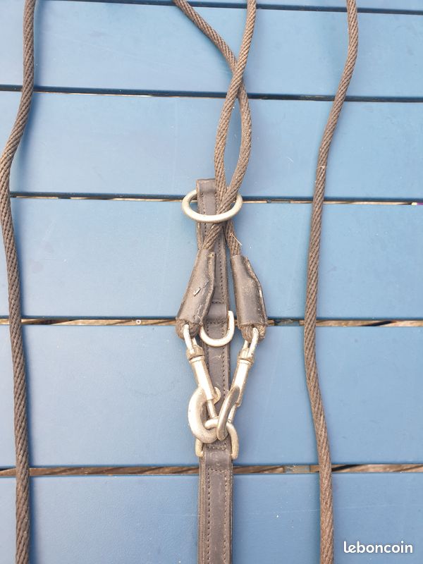 Gogue et rênes de gogue (image 4)
