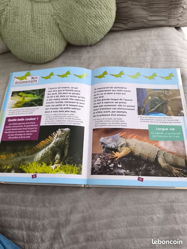 Livre enfant - découvre le i avec Isidore l'iguane (image 4)