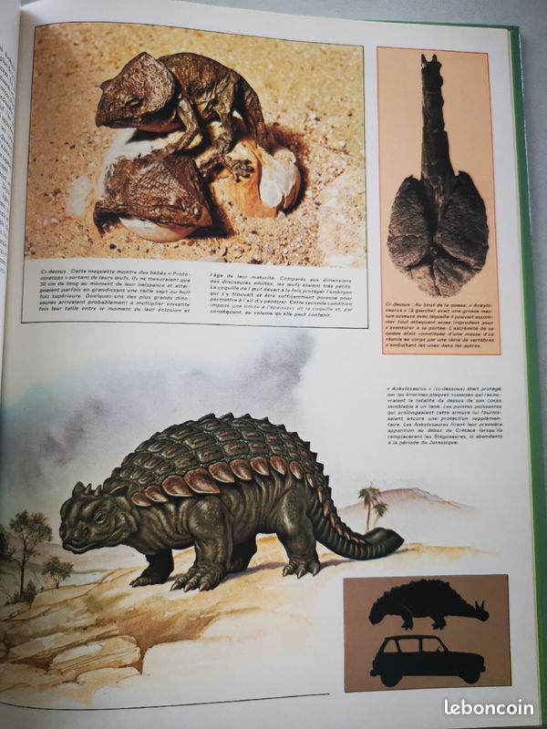 Le monde passionnant des dinosaures (image 2)