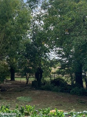 Terrain constructible de 672m2