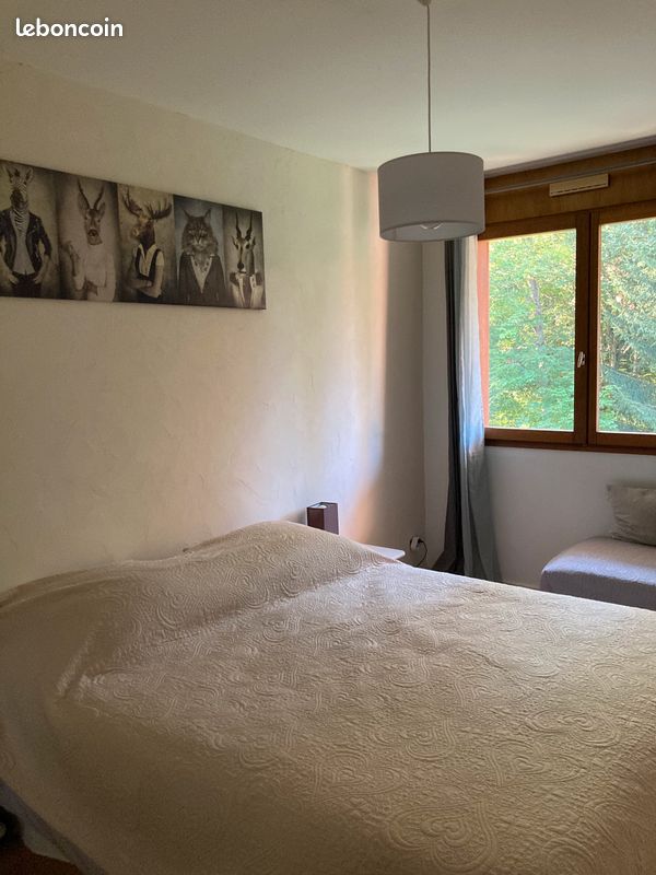 Grand appartement Carroz 6-8 personnes (image 1)