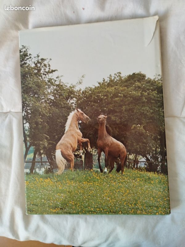 Le monde fascinant des chevaux (image 2)