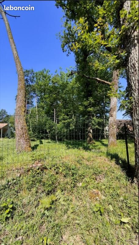 Terrain 1 000 m² Chancelade · 45 000 €