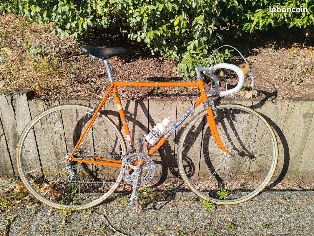 Colnago Molteni Eddy Merckx Molteni Bike Vélo Colector Colnago