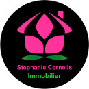 Logo du professionnel