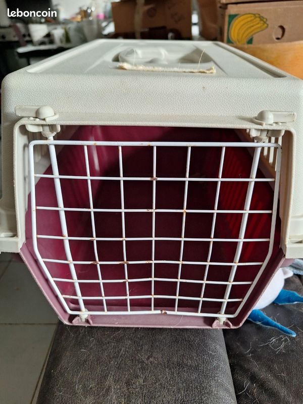 Caisse de transport chien.ou chat (image 1)