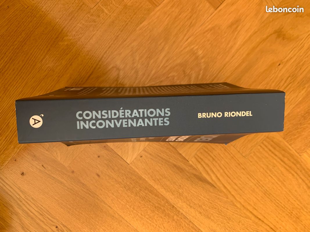 Livre ''Considérations inconvenantes sur l'école, l'islam et l'histoire en France à l'heure de la mondialisation'', B.Riondel 2015 (image 3)