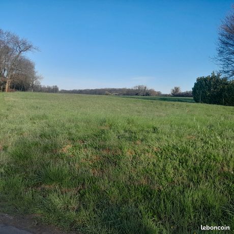 Terrain 1 980 m² Saint Sornin