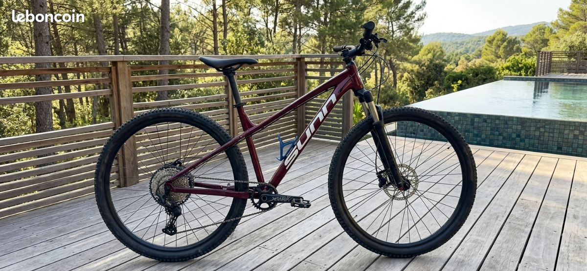 Vélos musculaires sunn (image 1)