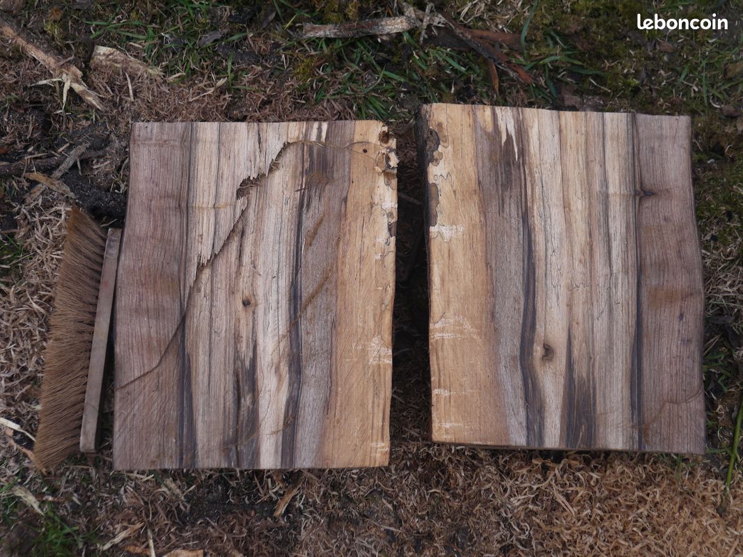 Bois pour sculpture ou tournage - Aulne, Noyer noir, bois échauffés et autres (image 10)