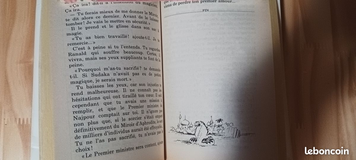 Lot de 3 livres dont vous êtes le héros (image 13)
