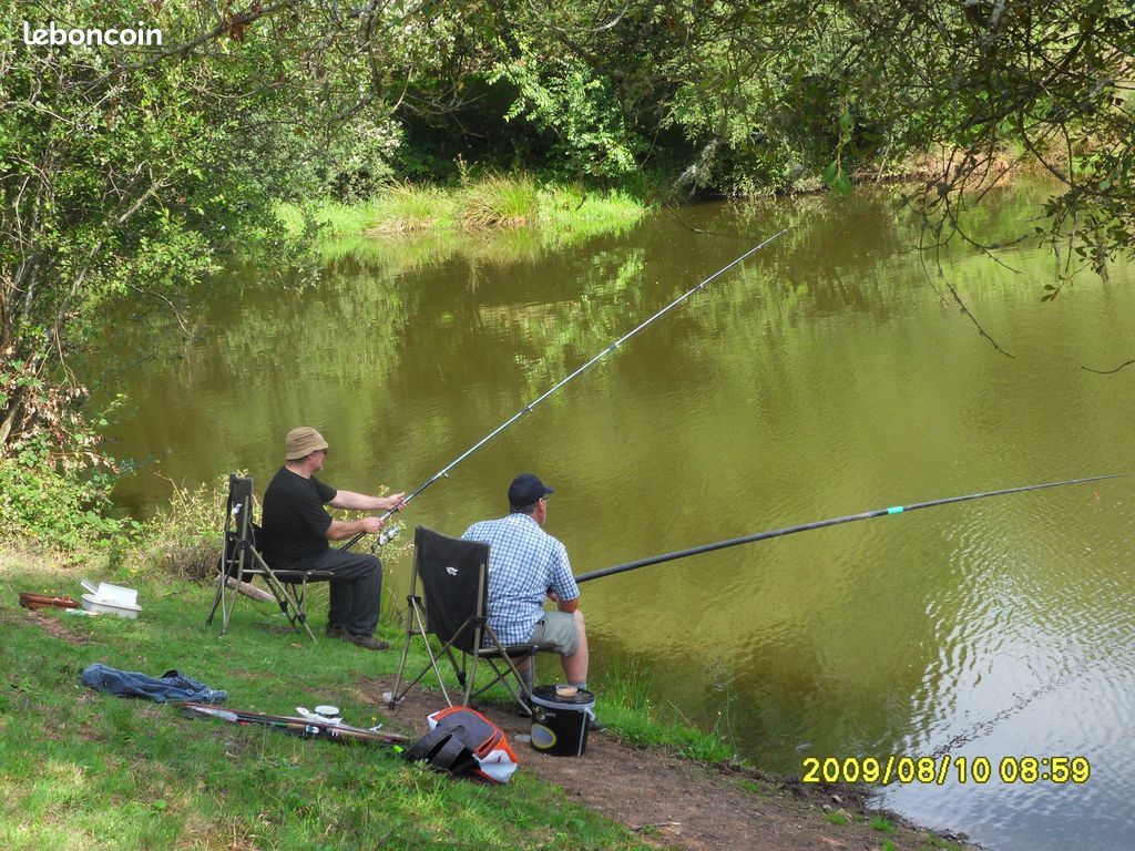 Gîte piscine intérieure privée couverte chauffée - Etang de pêche - Terrain clos - Animaux acceptés. En Creuse, entre Limousin et Berry. Ouvert vacances Toussaint (image 3)
