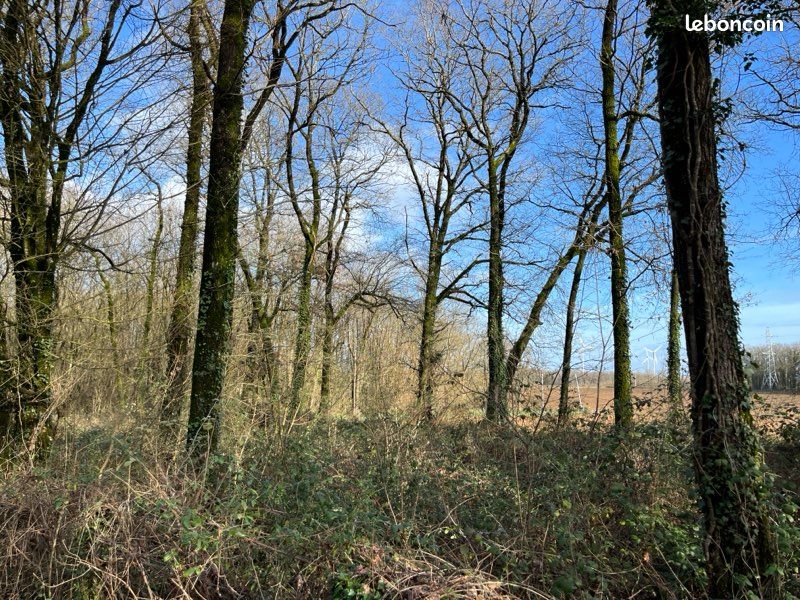 À vendre – 61 parcelles de bois, taillis et forêts - Charente-Maritime (17) · à Saint-Savinien · 10 000 €