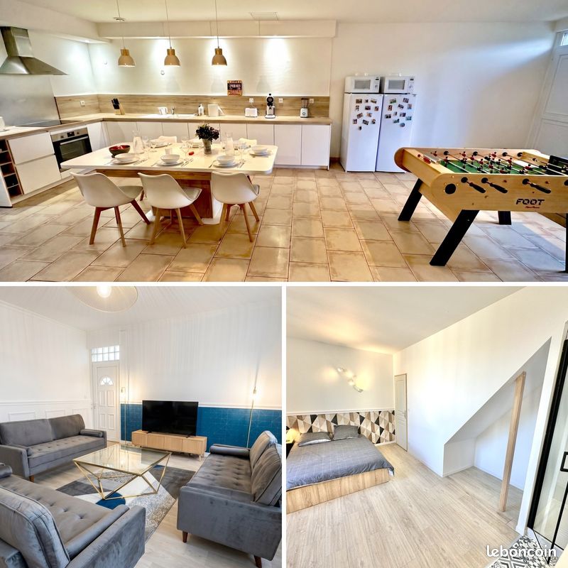 Chambre avec salle d'eau privée – coloc 200 m² avec jardin – ESTHUA / gare Saumur (image 1)