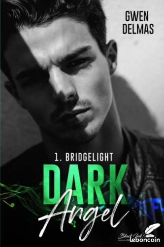 Dark Angel: Bridgelight (image 1)