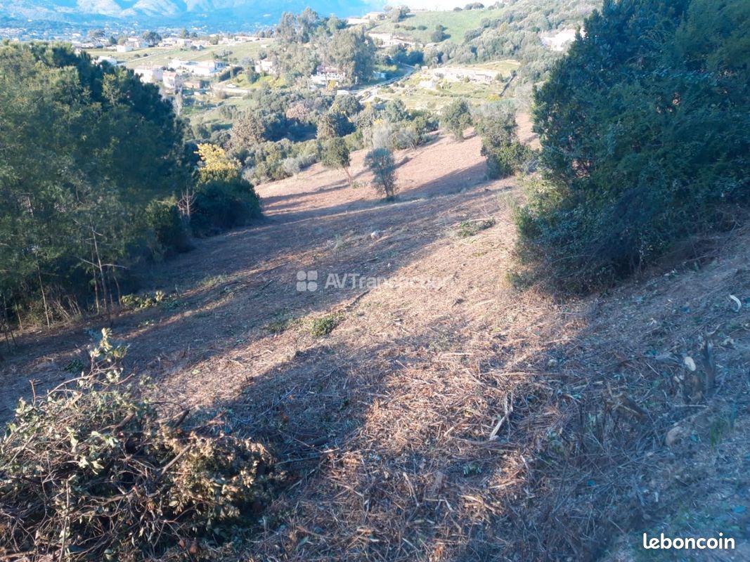 À Vendre Terrain Constructible sur la Plaine de Cuttoli · à Cuttoli-Corticchiato · 236 960 €