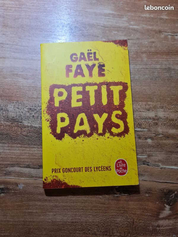 Livre - Petit pays de Gaël Faye (image 1)