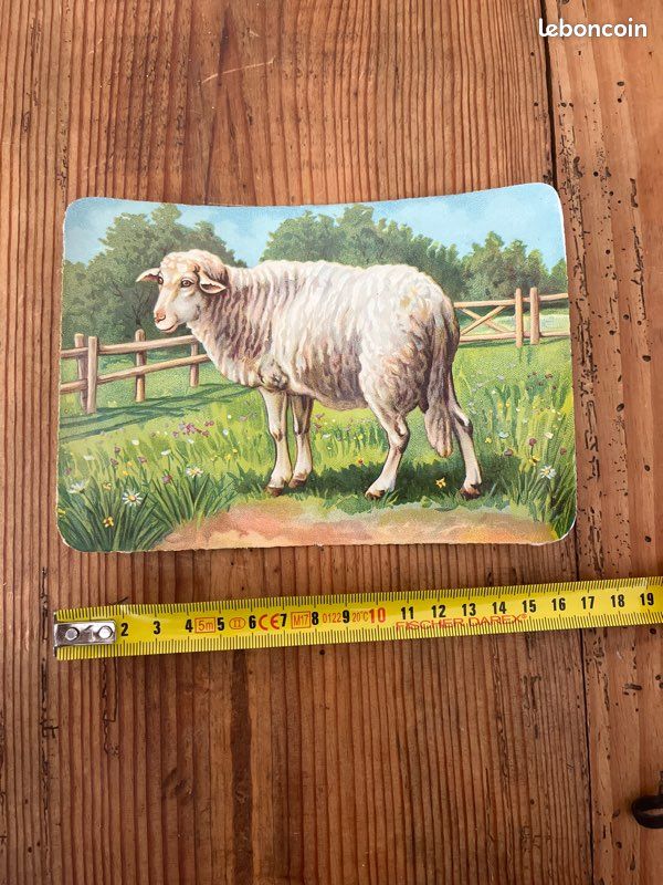 Chromos / découpis / image ancienne mouton (image 2)
