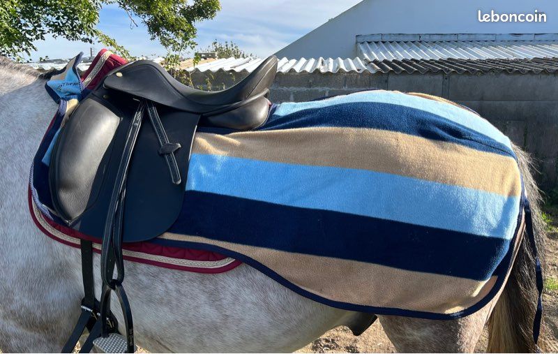 COUVRE REINS IMPER/POLAIRE VESTI F&C – ALEX SELLERIE