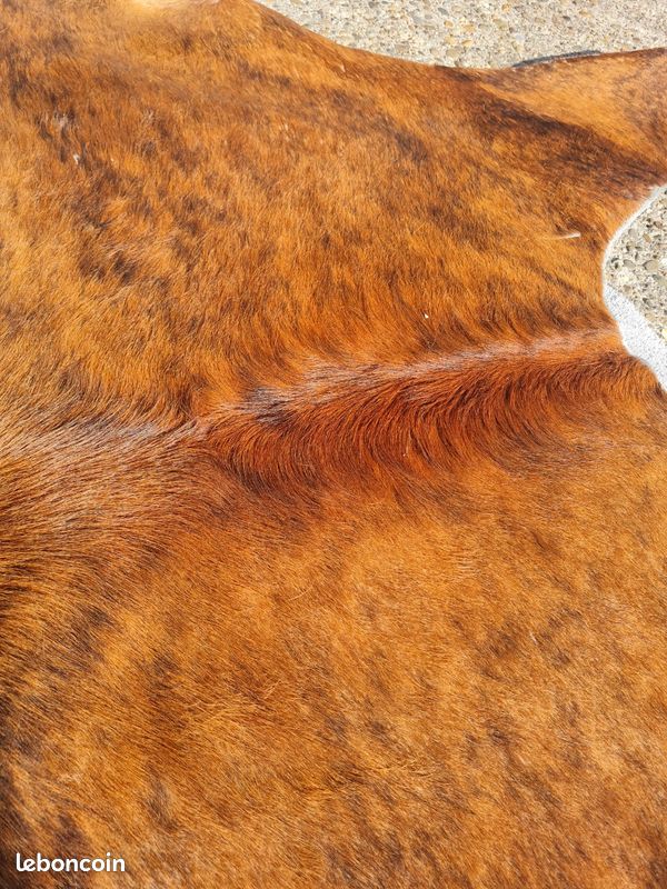 Tapis peau de bete véritable (image 1)