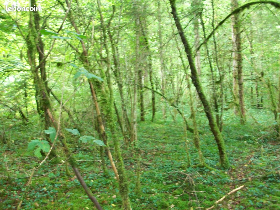 Parcelle boisé, terrain de loisir · à Thoiria · 54 000 €
