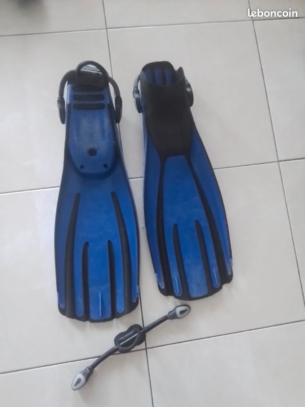 Palme sangle neuve (image 1)