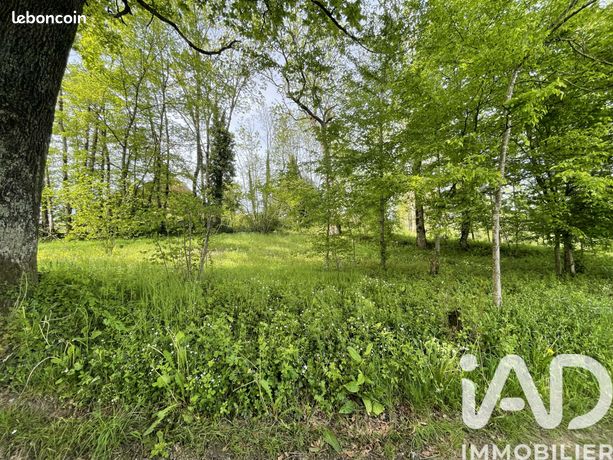 Terrain 754 m² Droiturier