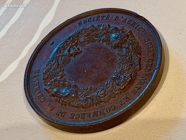 Médaillon Napoléon III En Bronze - Pièce Historique XIXème Siècle, Collection Précieuse
