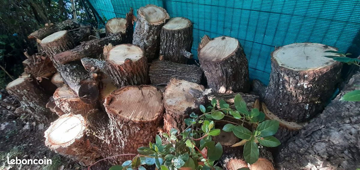 Vend stère de bois de chêne (image 2)