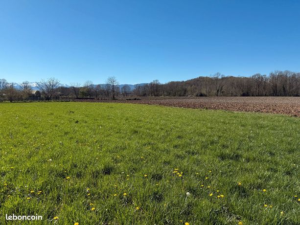 Terrain 595 m² PONTACQ