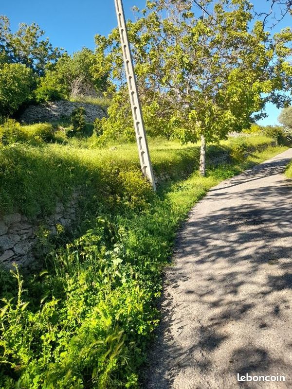 Terrain 493 m² · à Santo-Pietro-Di-Tenda · 493 m² · 68 000 €